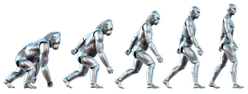 The training of a neural network is also known as an evolutionary process.
