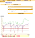 Sensors &
                Measurements