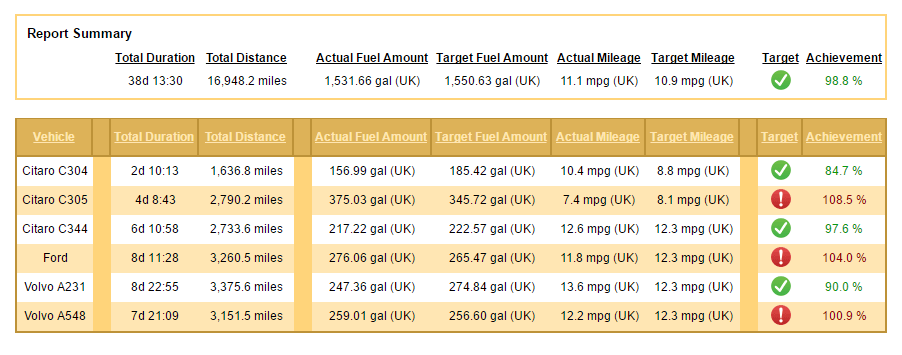 Fuel Consumption and
                Target Achievement per Vehicle